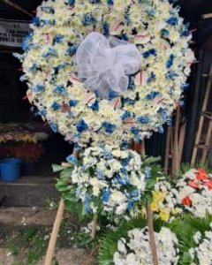 Blue And White Sympathy